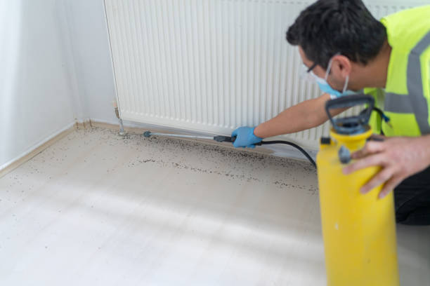 Best Exterminator Services  in Bolivar, WV