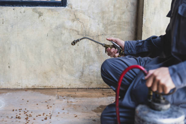 Best Mosquito Control Services  in Bolivar, WV
